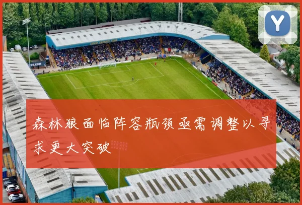 森林狼面临阵容瓶颈亟需调整以寻求更大突破